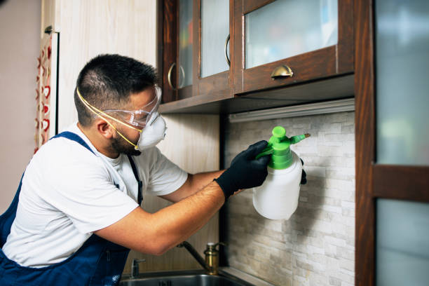 Best Wasp Removal Services  in Hokes Bluff, AL